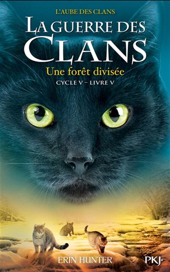 L&#39;Aube des clans #05 Une forêt divisée - ERIN HUNTER