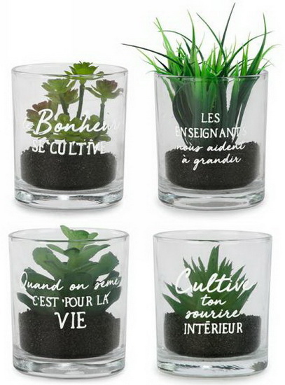 Plante En Pot Avec Citation 4as Livres Renaud Bray Com Livres Cadeaux Jeux