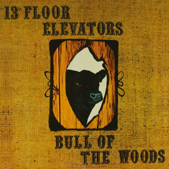 Bull Of The Woods (2CD deluxe edition) - 13TH FLOOR ELEVATORS