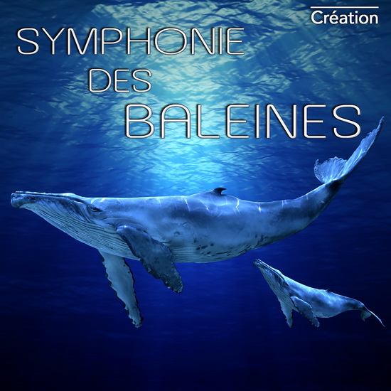 Symphonie des Baleines - COMPILATION RELAXATION