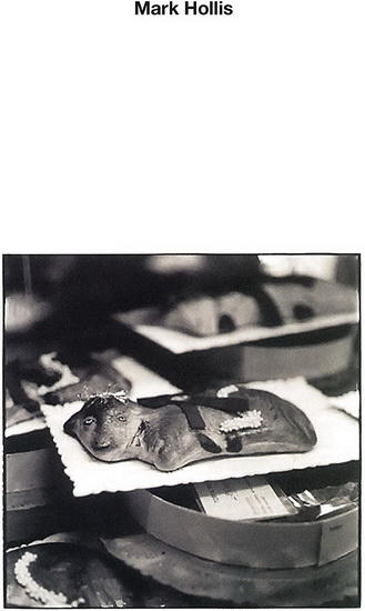 Mark Hollis (Vinyl) - HOLLIS MARK