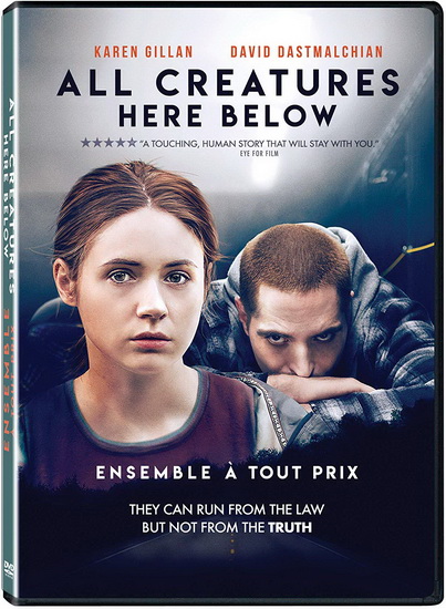 All Creatures Here Below - COLLIN SCHIFFTI