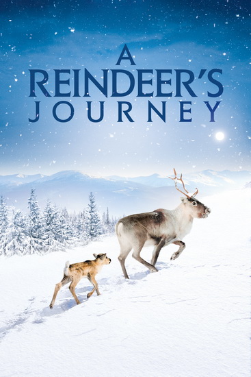 Aïlo: A Reindeer&#39;s Journey (Une odyssée en Laponie) - MAIDATCHEVSKY GUILLAUME
