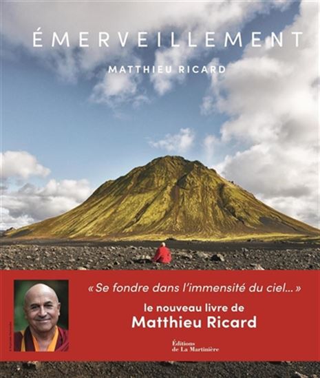 Emerveillement : se fondre dans l'immensité du ciel... - MATTHIEU RICARD