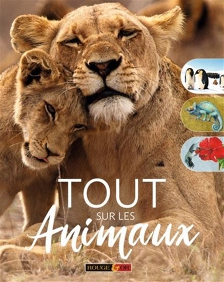 Tout sur les animaux N. éd. - COLLECTIF