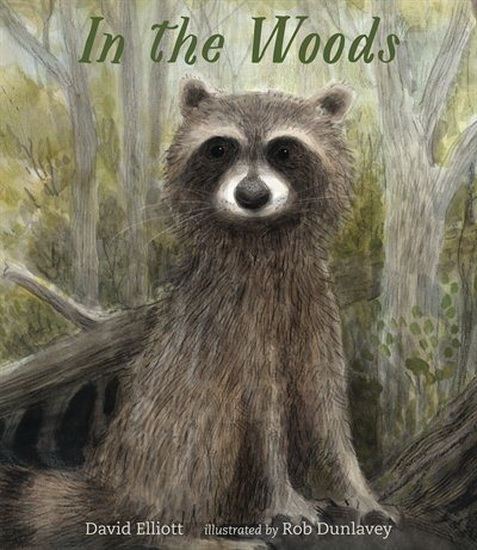 In the Woods - DAVID ELLIOTT