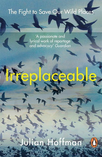 Irreplaceable - JULIAN HOFFMAN