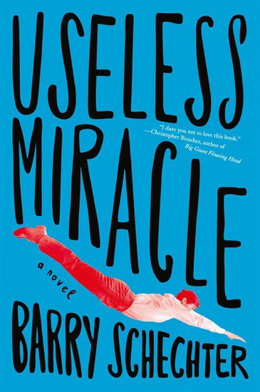 Useless Miracle - BARRY SCHECHTER