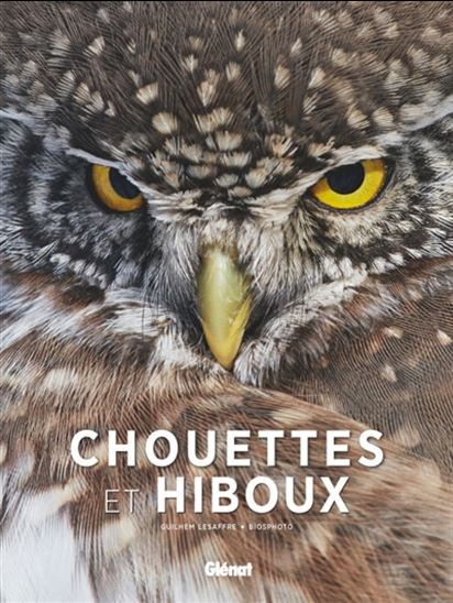 Chouettes et hiboux - GUILHEM LESAFFRE