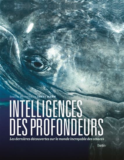 Intelligences des profondeurs : dans la tête des baleines, dauphins, et marsouins - COLLECTIF
