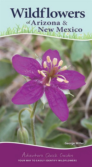 Wildflowers of Arizona and New Mexico - GEORGE MILLER