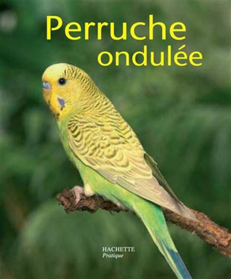 La Perruche callopsitte - ANNETTE WOLTER