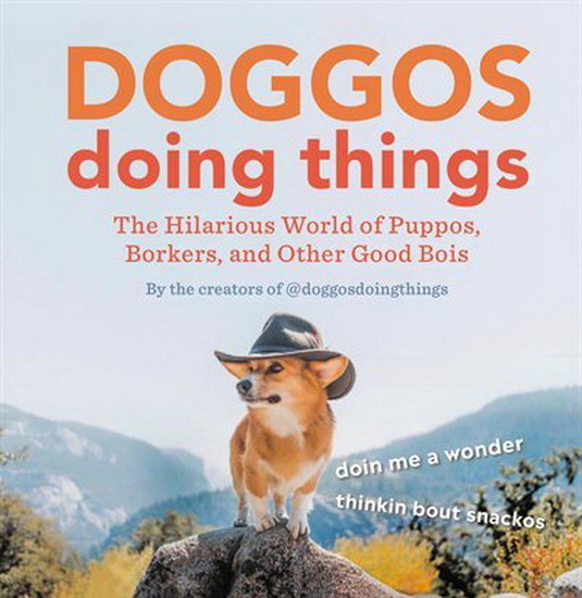 Doggos Doing Things : The Hilarious World of Puppos Borkers and Other Good Bois - COLLECTIF