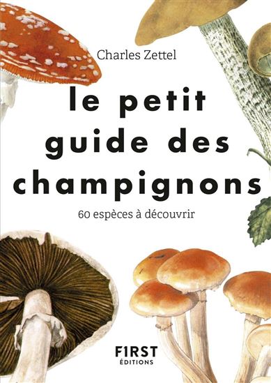 Guide d'initiation aux champignons sauvages du Québec