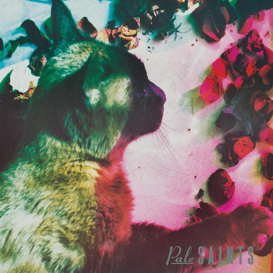 The Comforts Of Madness (2CD) - PALE SAINTS (THE)