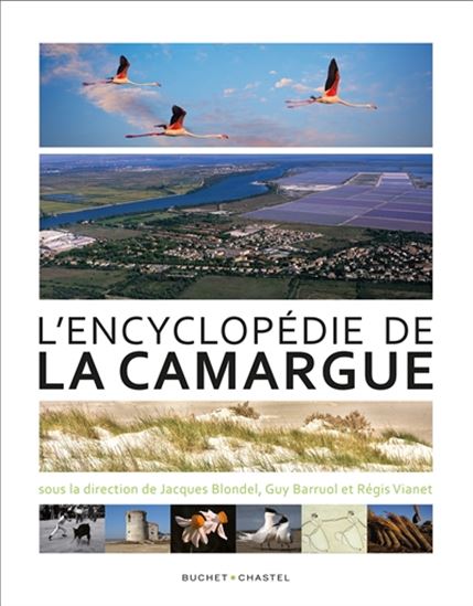 L&#39;Encyclopédie de la Camargue N. éd. - COLLECTIF