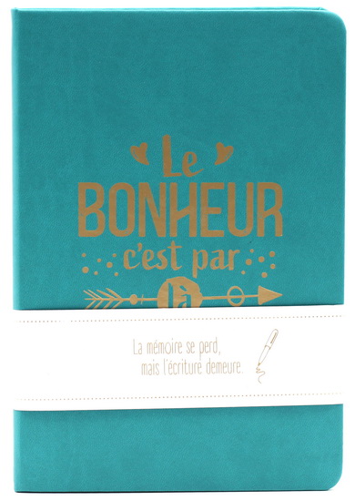 Journal ligné Flèche 192p