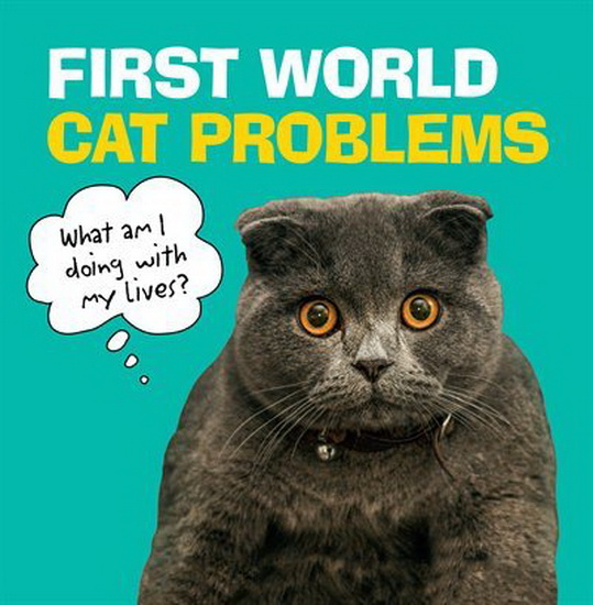 First World Cat Problems - COLLECTIF