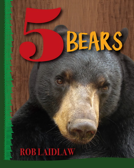 5 Bears - ROB LAIDLAW