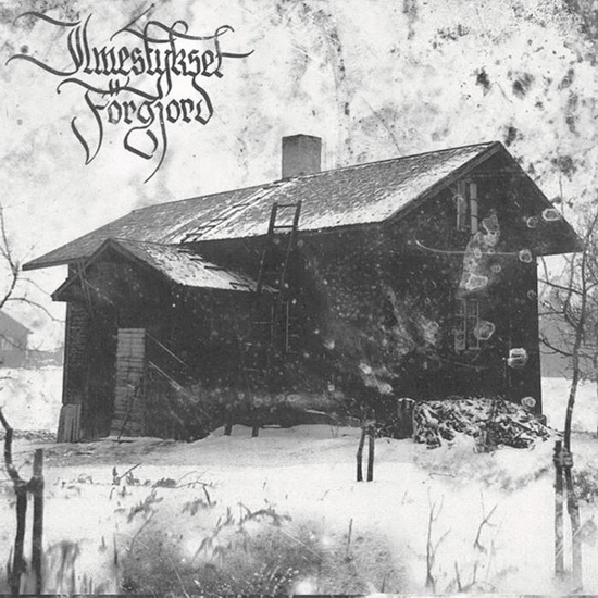 Ilmestykset - import - FORGJORD