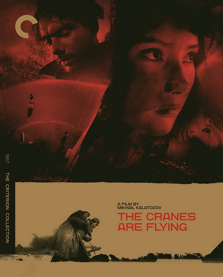 The Cranes are Flying (Blu-Ray) - MIKHAIL KALATOZOV