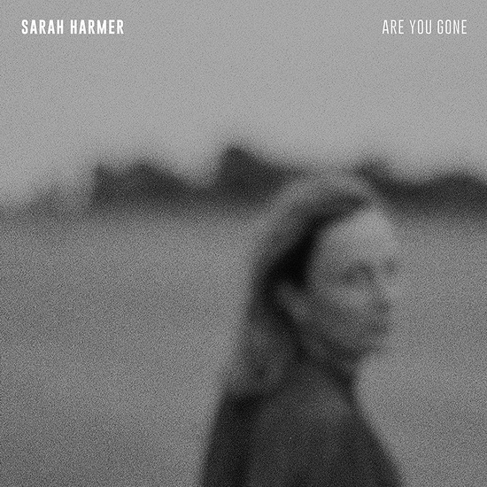 Are You Gone (Vinyl) - SARAH HARMER