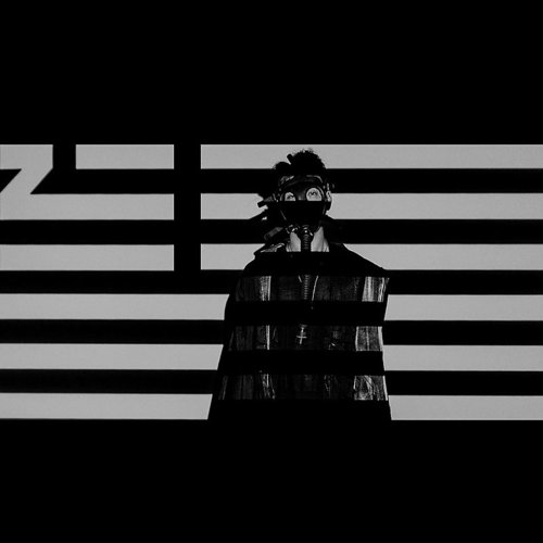 Came In For The Low (Vinyl) - ZHU