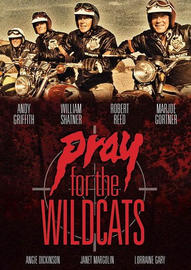 Pray For The Wildcats - ROBERT MICHAEL LEWIS