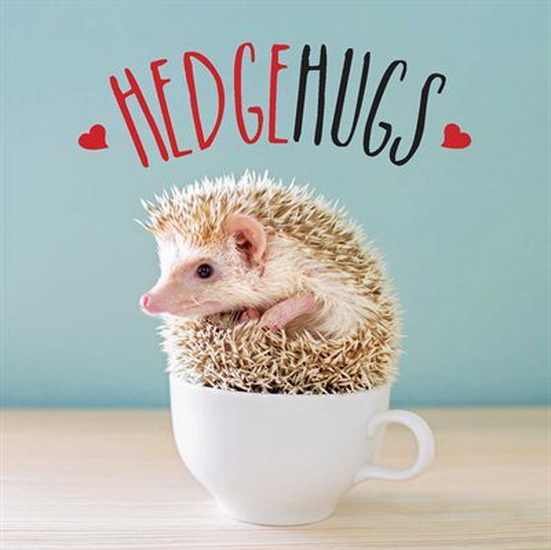 HEDGEHUGS - COLLECTIF