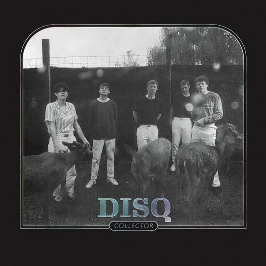 Collector - DISQ