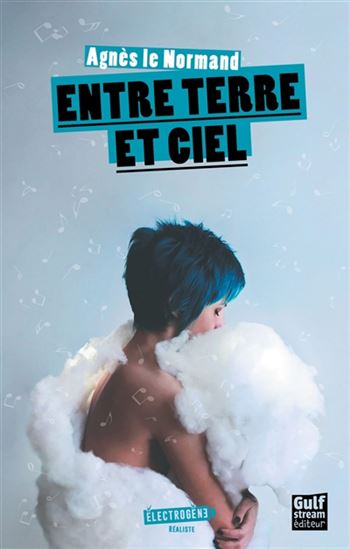 Entre terre et ciel - AGNÈS LE NORMAND