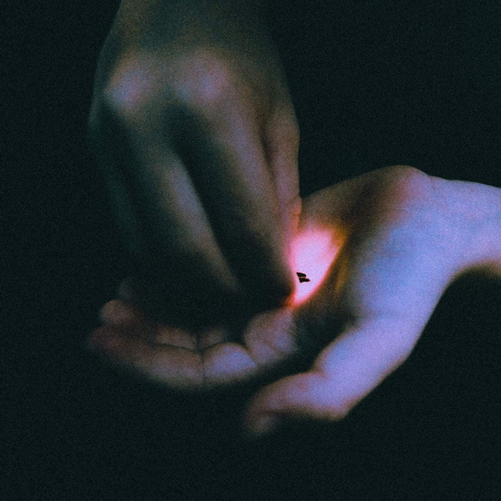 Stray (Vinyl) - BAMBARA