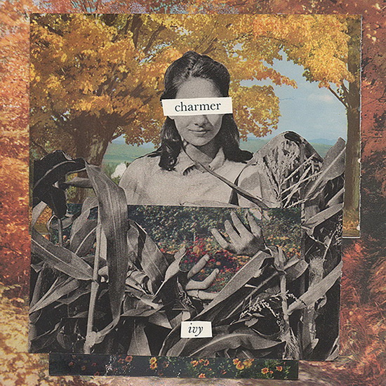 Ivy (Vinyl) - CHARMER
