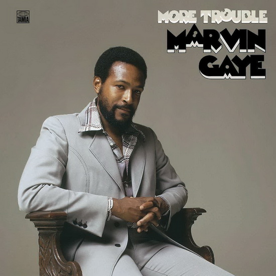 More Trouble (Vinyl) - MARVIN GAYE