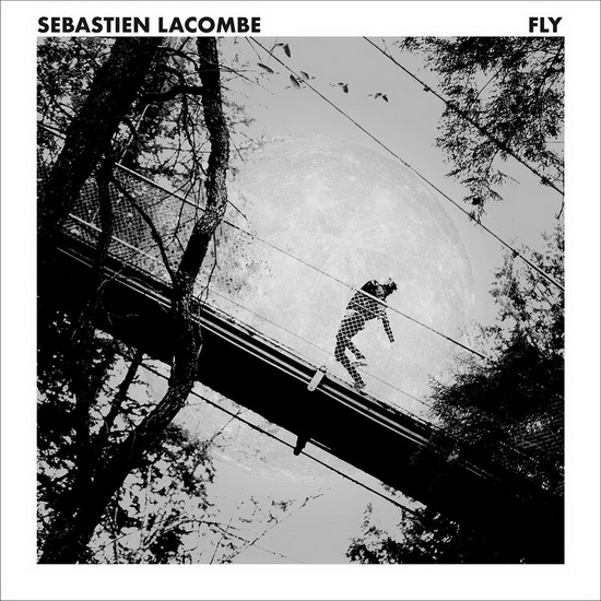 Fly - SÉBASTIEN LACOMBE