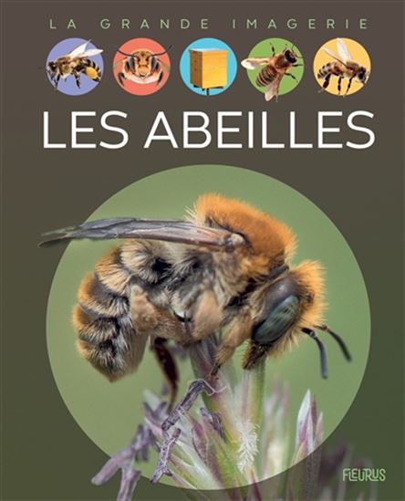 Les Abeilles N. éd. - SABINE BOCCADOR