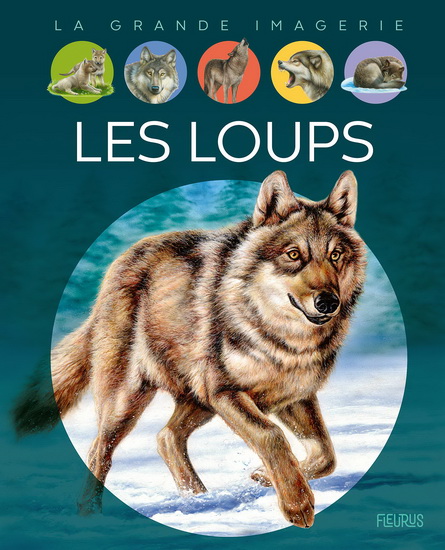 Les Loups N. éd. - AGNÈS VANDEWIELE & AL