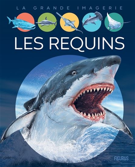 Les Requins N. éd. - CATHY FRANCO - JACQUES DAYAN