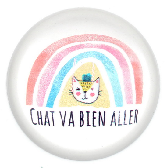 Presse Papier Chat Va Bien Aller Decoration Cadeaux Renaud Bray Com Livres Cadeaux Jeux