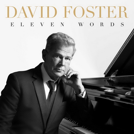 Eleven Words - DAVID FOSTER