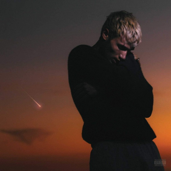 Love Is Not Dying (Vinyl) - JEREMY ZUCKER
