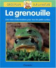 La Grenouille - COLLECTIF