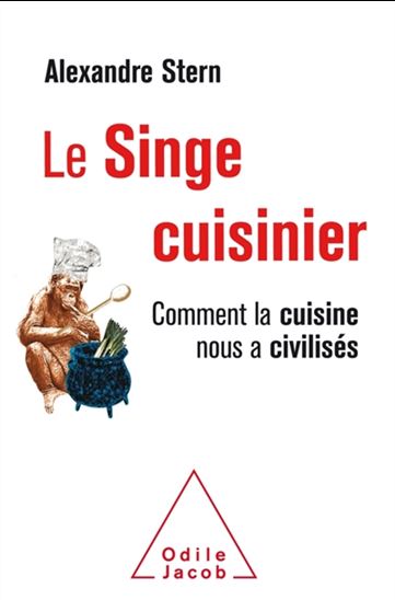 Le Singe cuisinier : comment la cuisine nous a civilisés - ALEXANDRE STERN