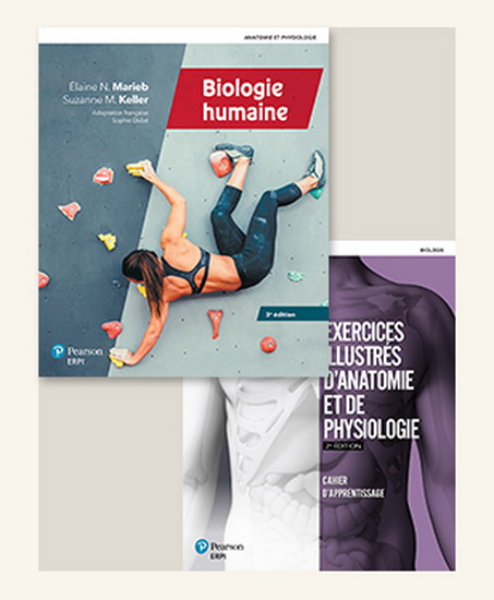 Biologie humaine : manuel (imprimé et numérique) + Multimédia + Anatomie interactive + Cahiers Exercices illustrés (60 mois) 3e éd. - ELAINE NICPON MARIEB & AL