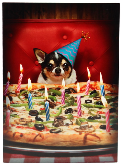 Chien devant pizza "Bon anniversaire! Avec tous les extras!