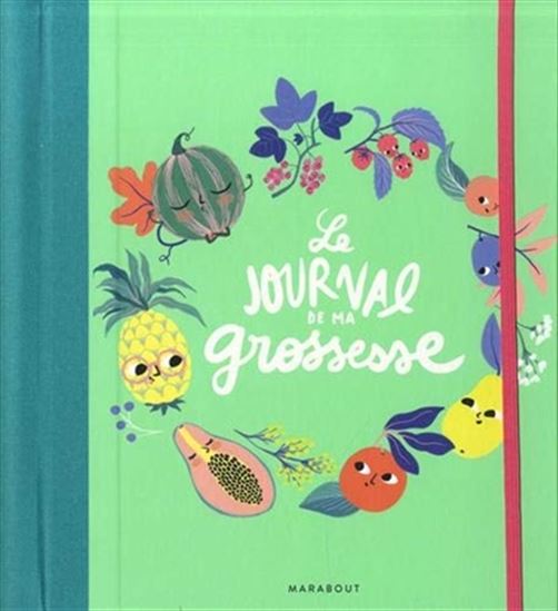 Le Journal de ma grossesse - YOULIE DESSINE