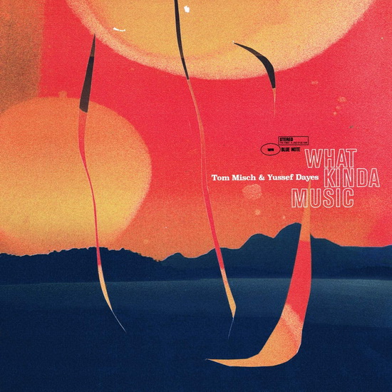What Kinda Music (2Vinyl) - TOM MISCH & YUSSEF DAYES