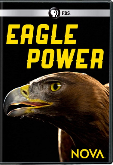 NOVA: Eagle Power