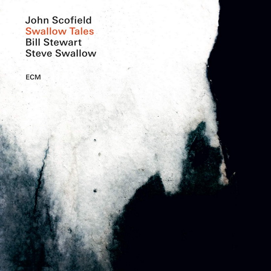 Swallow Tales - JOHN SCOFIELD