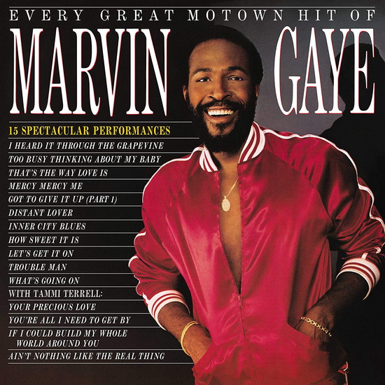 Every Great Motown Hit (Vinyl) - MARVIN GAYE